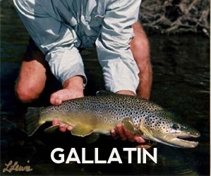 Gallatin River