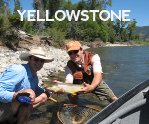 Yellowstone River